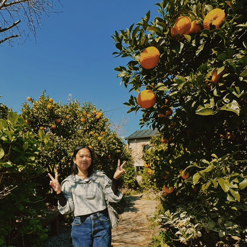 미쳤어 WalQErs_𝘘 퀴니 profile