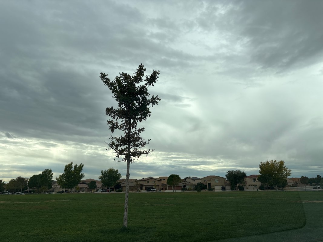 walking near me in Cabezon Park in autumn