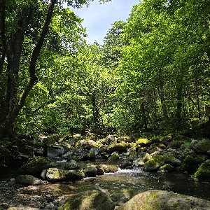 黒澤敏行_土浦 icon