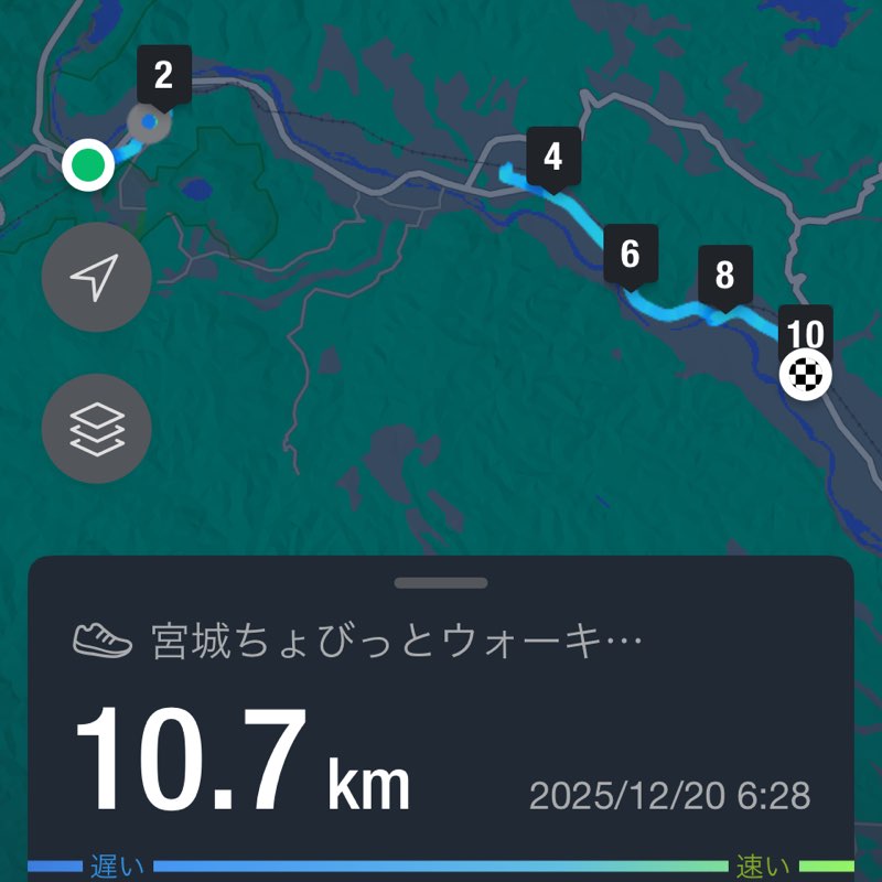 SHIBAURA-Walking ★安達　大助_土浦 post image