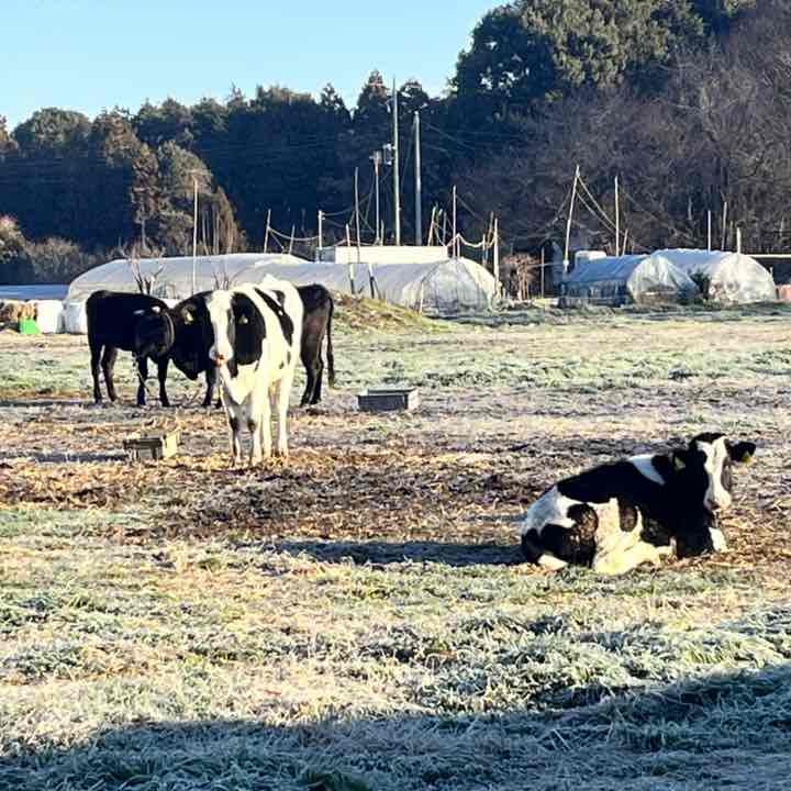 ★安達　大助_土浦 post 1