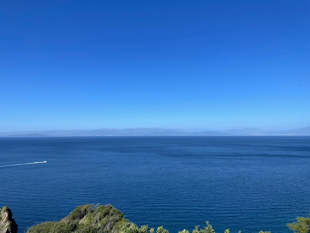 ★牧野_コイル icon