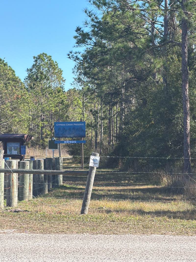 walking near me in Cypress Creek Preserve in winter