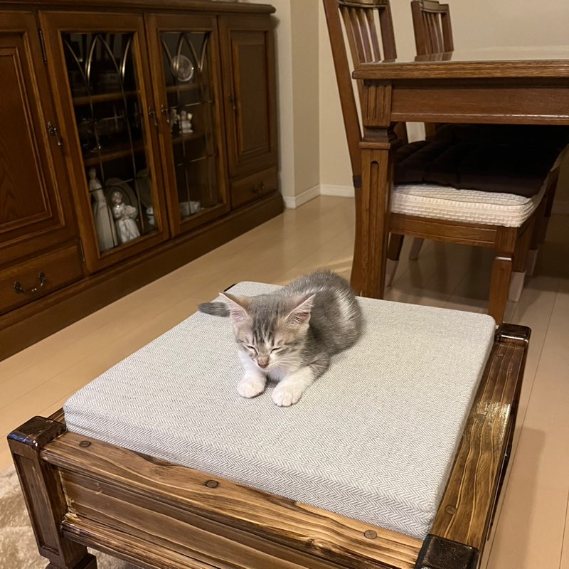 哲郎　生技 profile