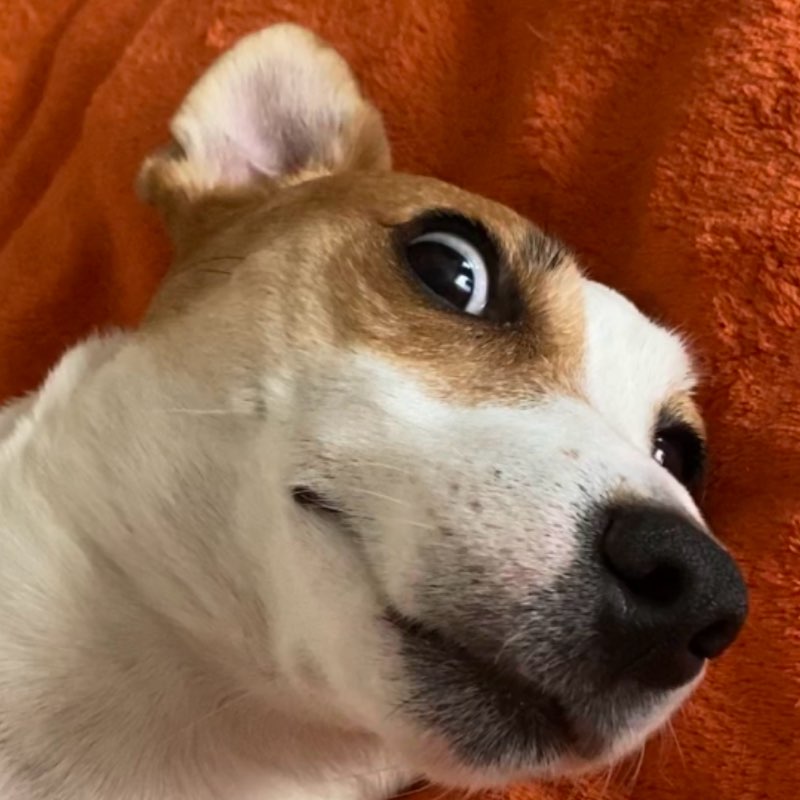 Олеся Масина profile