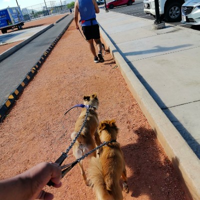 caminando con princesa Juan jose Ontiveros martinez post image