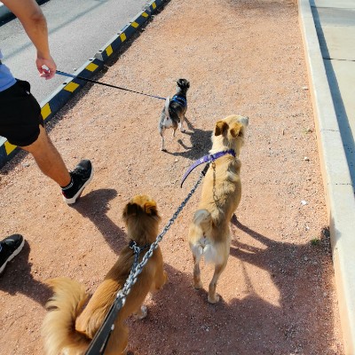 Safran Juan jose Ontiveros martinez post image