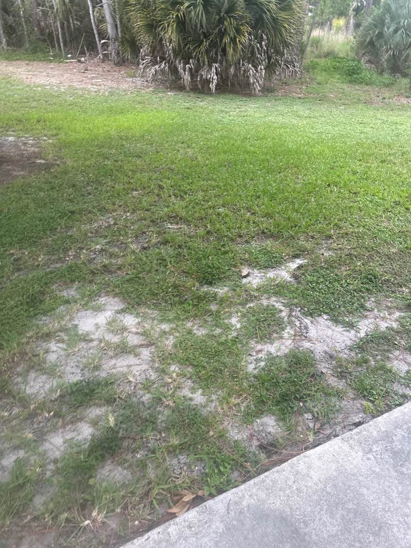 walking near me in Mary Brogan Park in summer