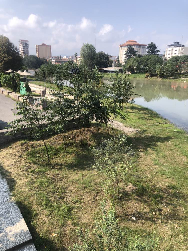 walking near me in پارک مخابرات in autumn