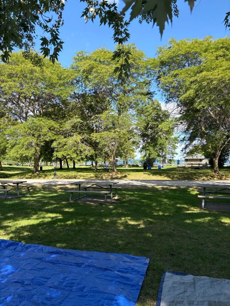 walking near me in De La Salle Park in autumn