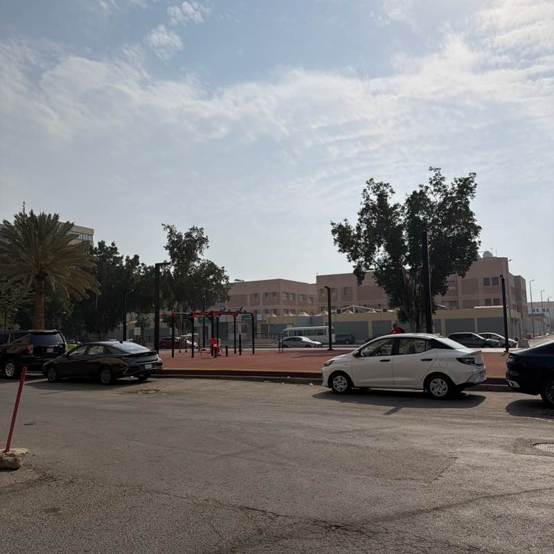 Raheel Dangra post 1