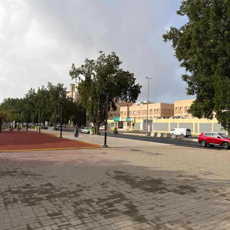 Raheel Dangra post 1