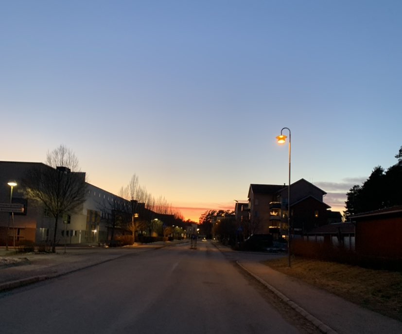 Arvid profile
