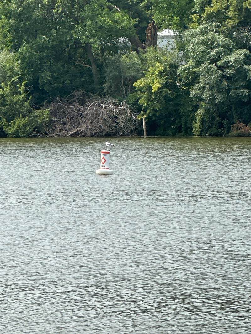 walking near me in Veterans Memorial Park in autumn