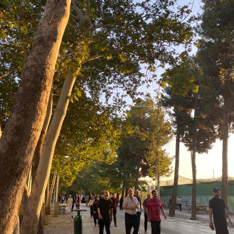 Mohammd Mahdi post 1