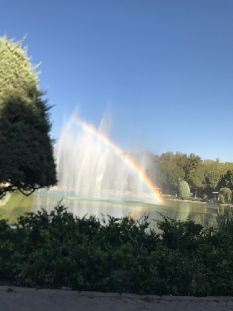 walking near me in Laleh Park in autumn