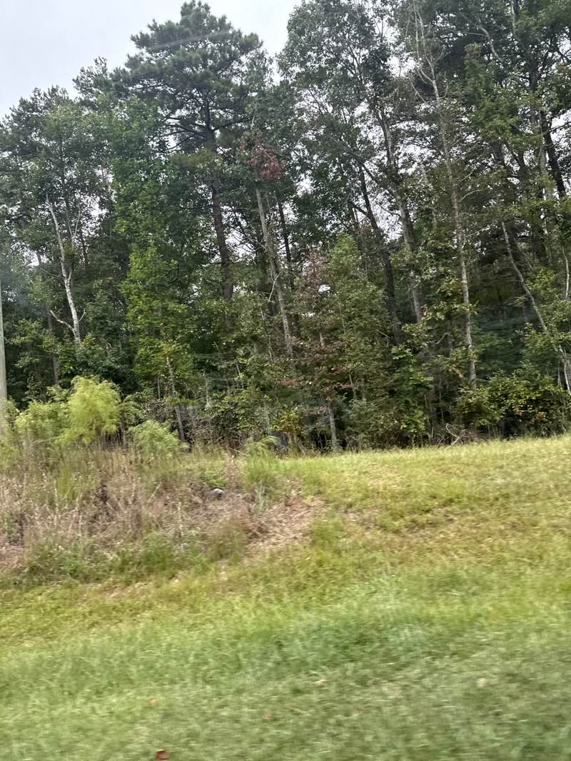 walking near me in Lake Lanier Park in autumn