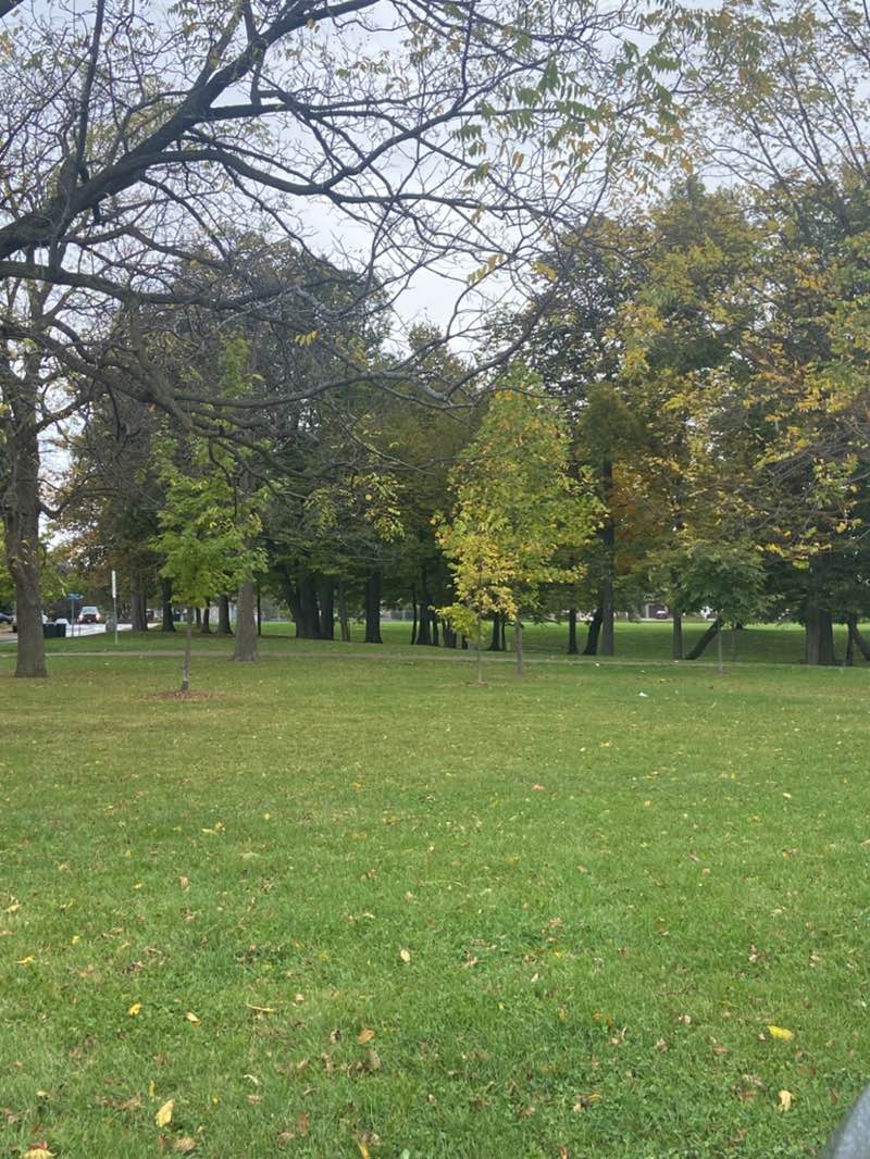 walking near me in Gilkson Park in autumn