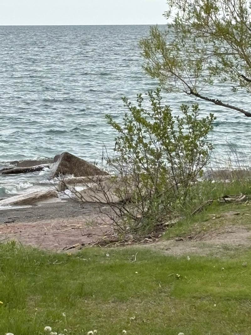 walking near me in Confederation Beach Park in spring