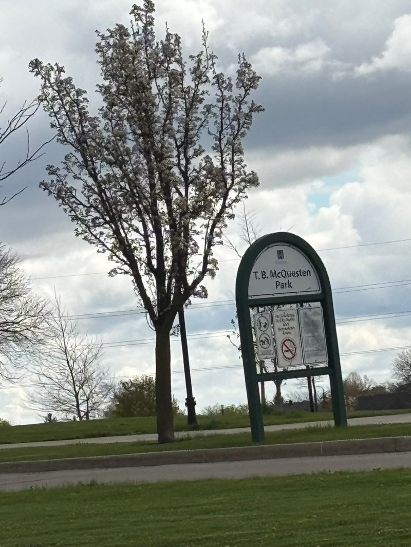 walking near me in T. B. McQuesten Park in spring