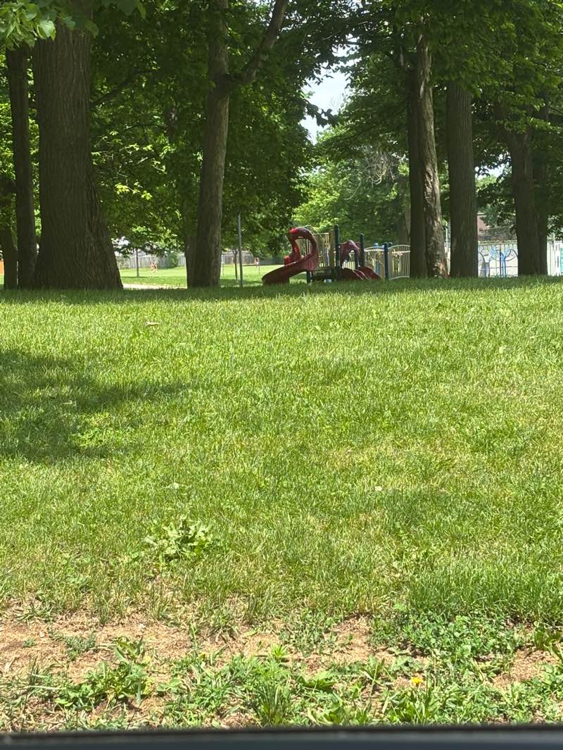 walking near me in Gilkson Park in summer