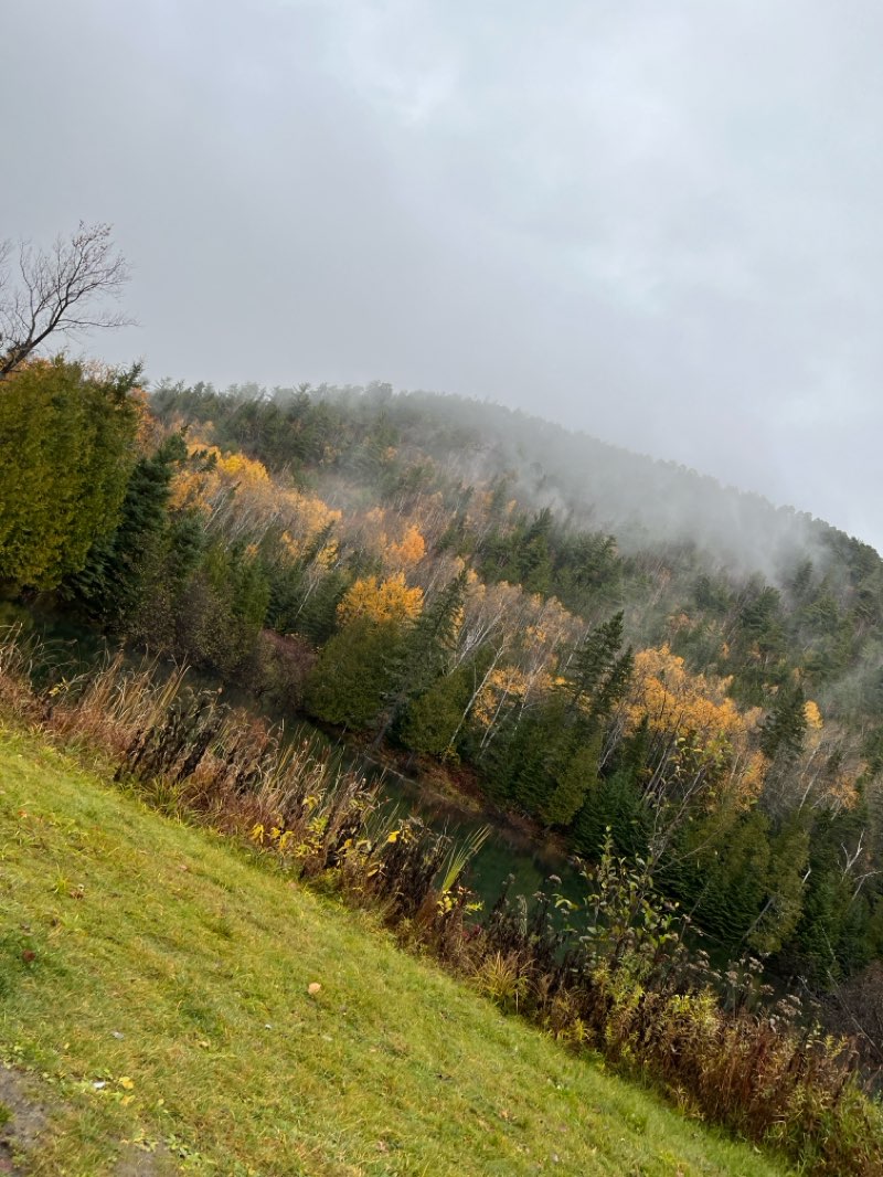 walking near me in Sugarloaf Park in autumn