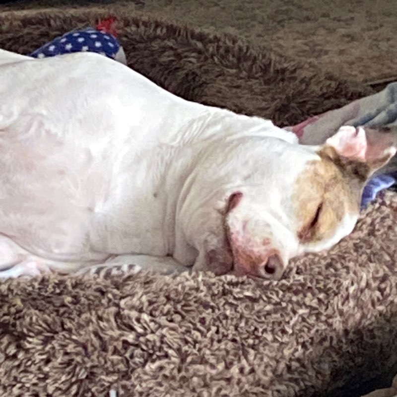 Couch Potato profile