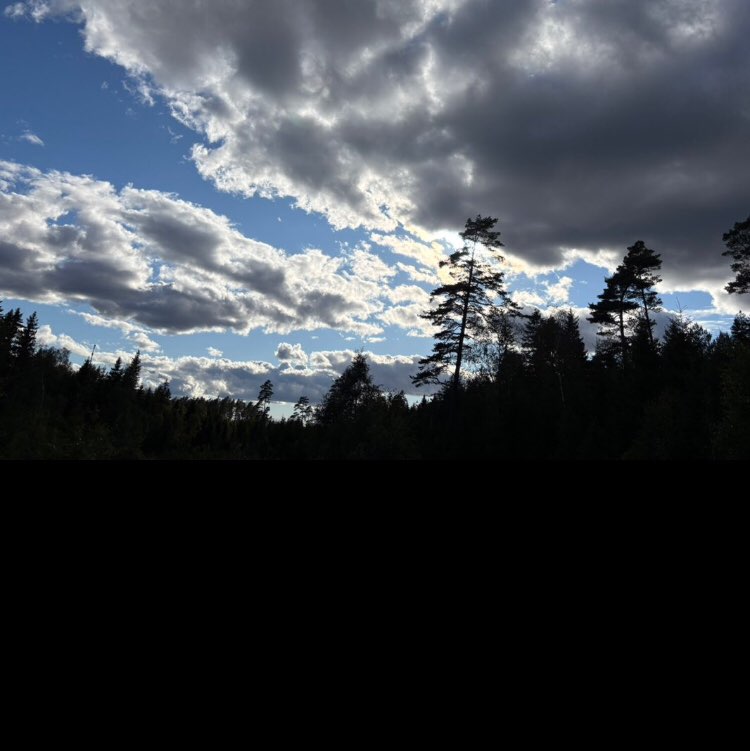 Gerri and friends Gerri post image