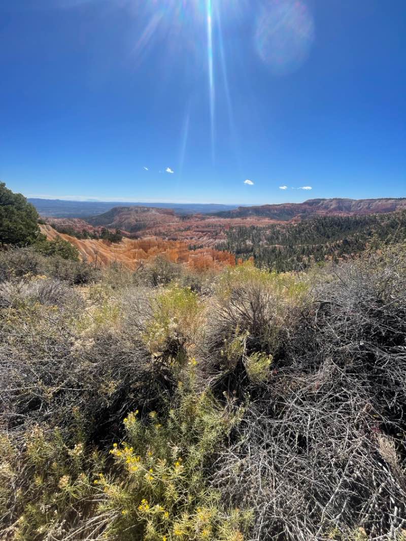 walking near me in Bryce Canyon National Park in autumn