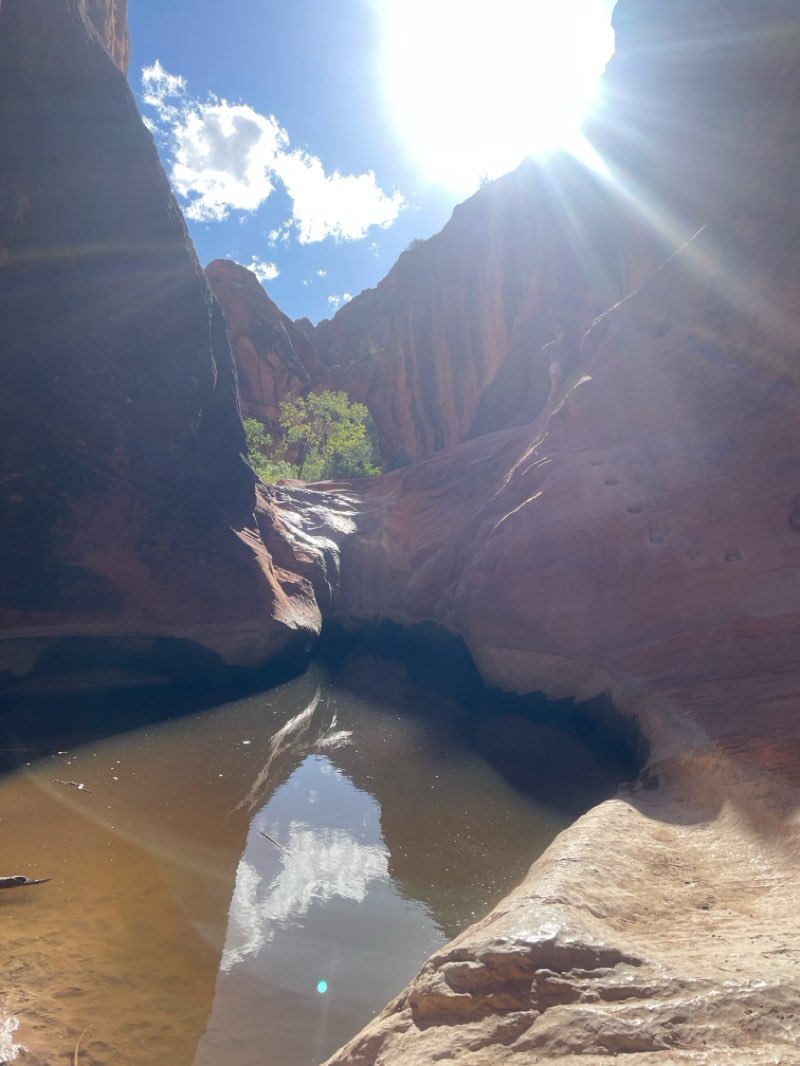walking near me in Cottonwood Forest Wilderness in autumn