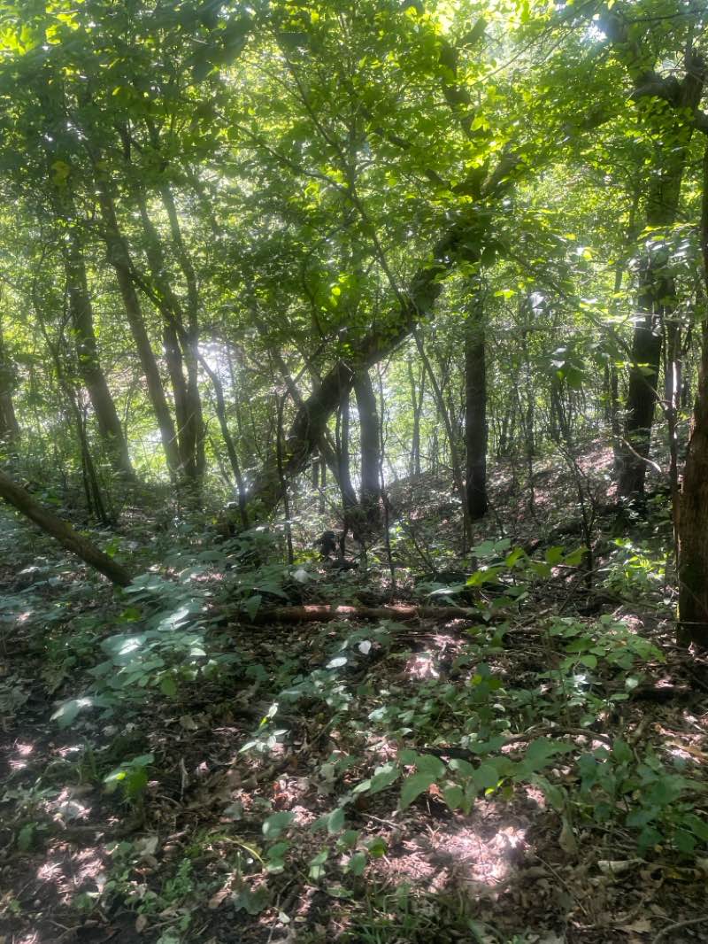 walking near me in Flandrau State Park in autumn
