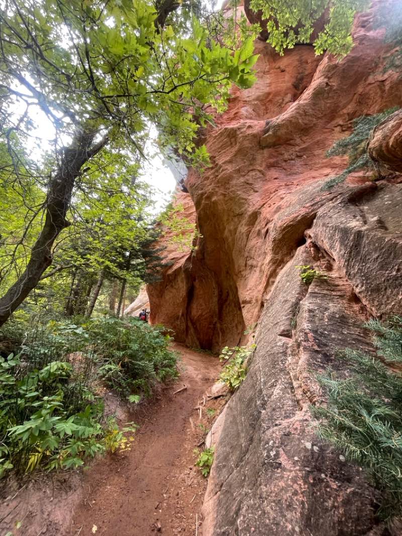walking near me in Spring Creek Canyon Wilderness Study Area in autumn