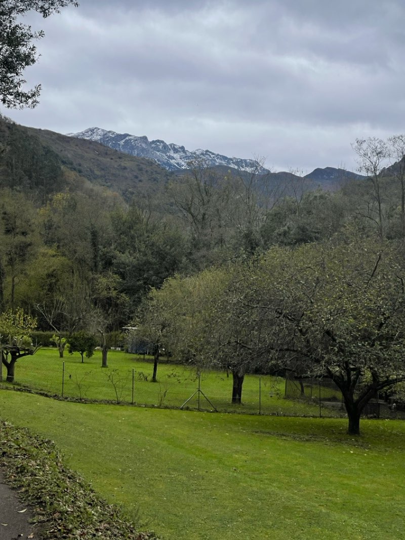 walking near me in Parque de Cataluña in autumn