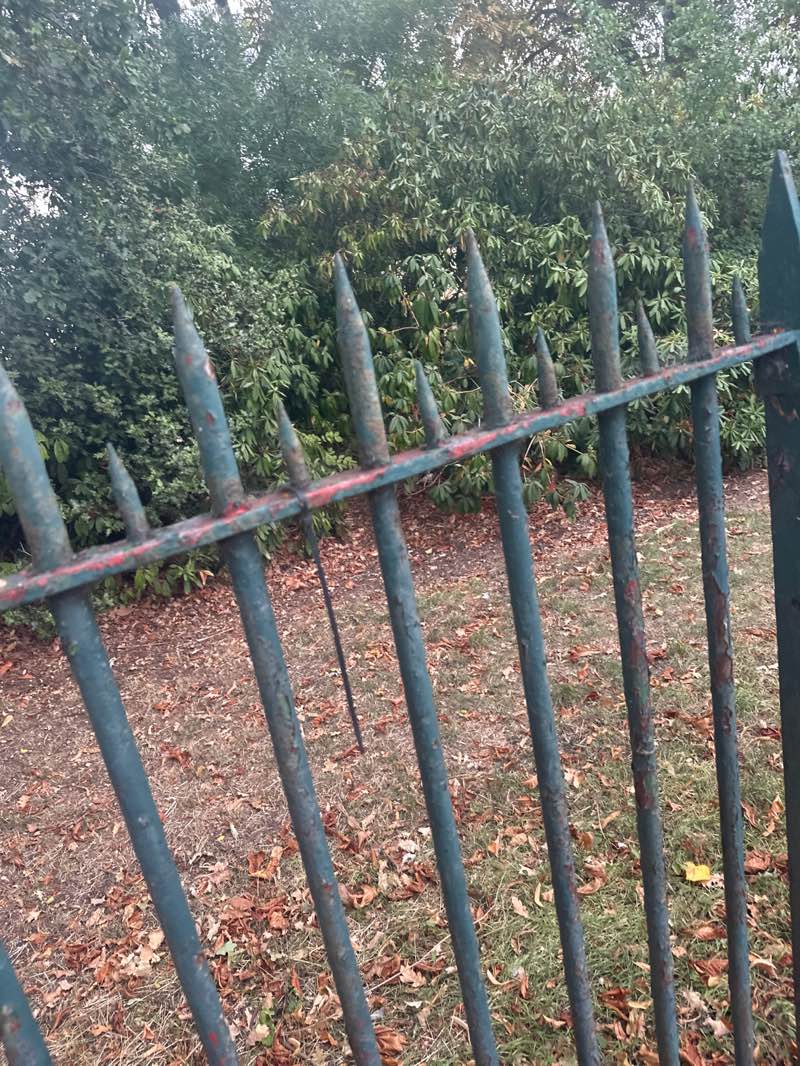 walking near me in Barkingside Recreation Ground in autumn