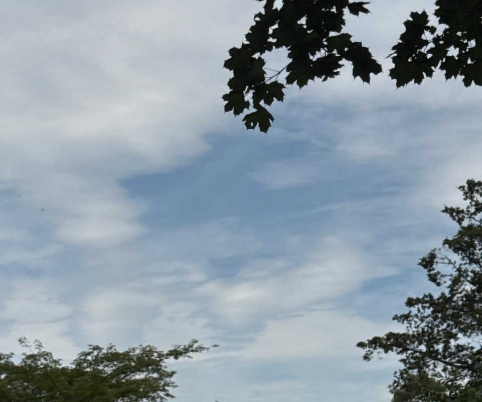 💛💛🩷Abby&Abel🌸🌼🌿 profile