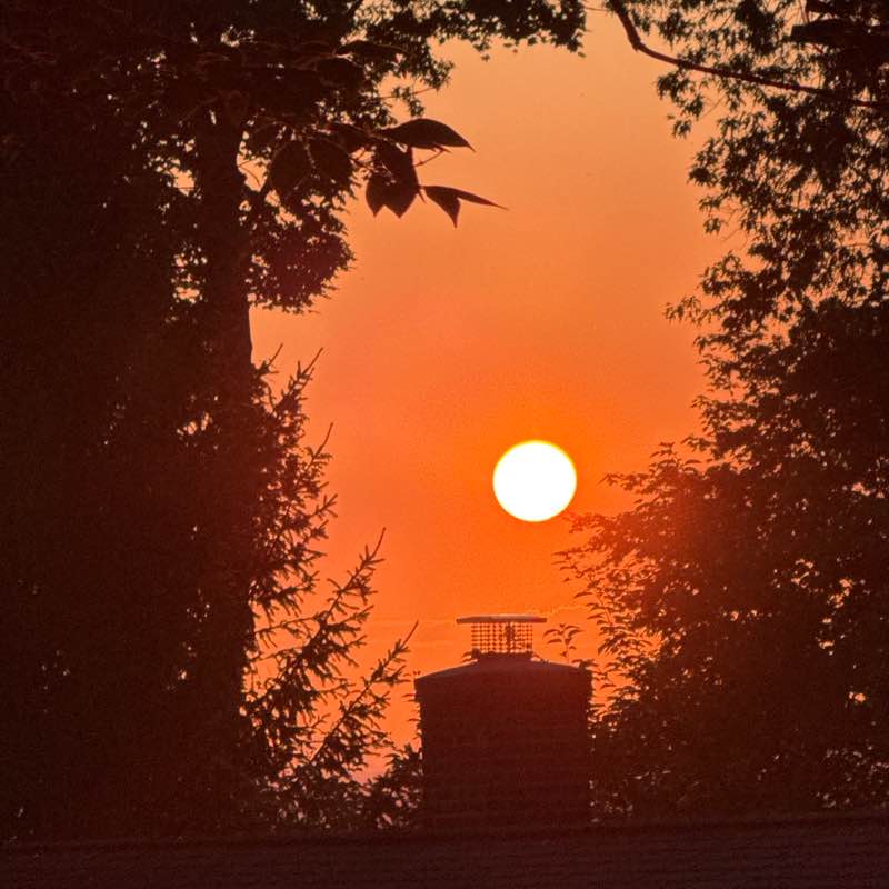 Walk Warriors 💛💛🩷Abby&Abel🌸🌼🌿 post image