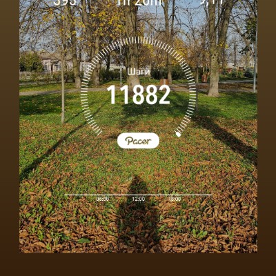 Новая Лига ПСЖ Светлана Лебедева post image