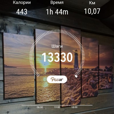 Новая Лига ПСЖ Светлана Лебедева post image