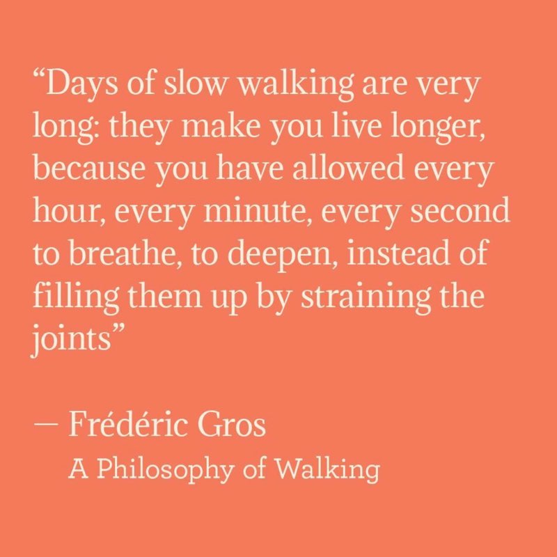 Health & Fitness Club Femi post image