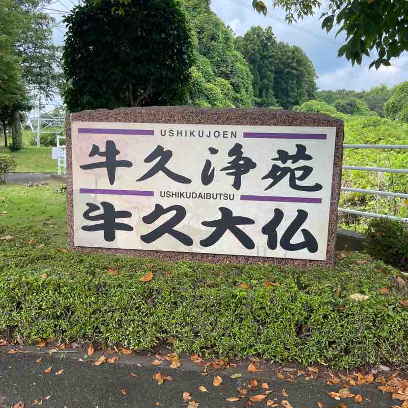 ★★ティヨ＿土浦 post 3