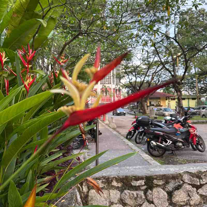 K010805 (#TakSukaRunning) post 1