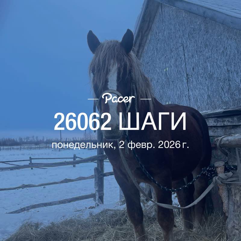 Альмира post 1