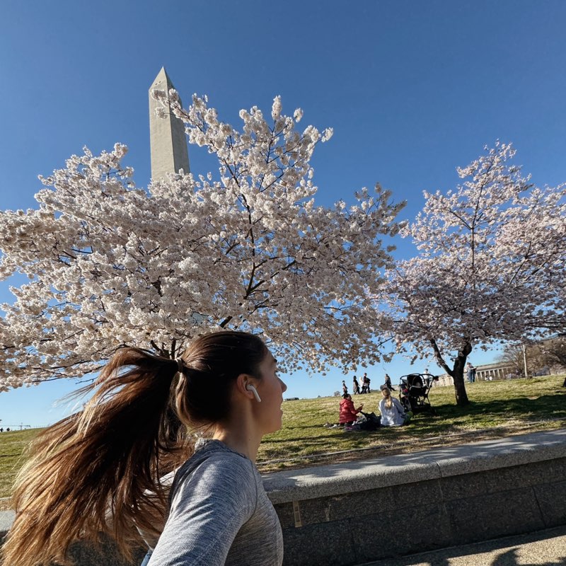 Marley Diligent icon