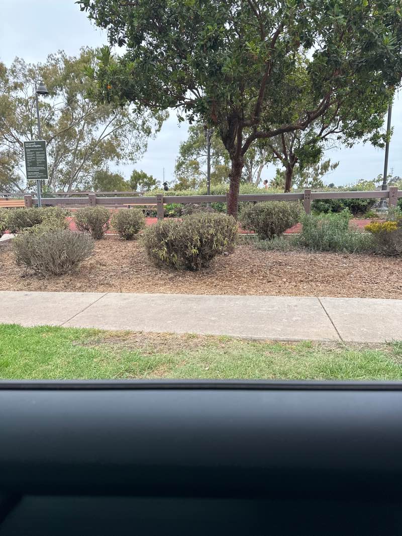 walking near me in Kenneth Hahn State Recreational Area in summer