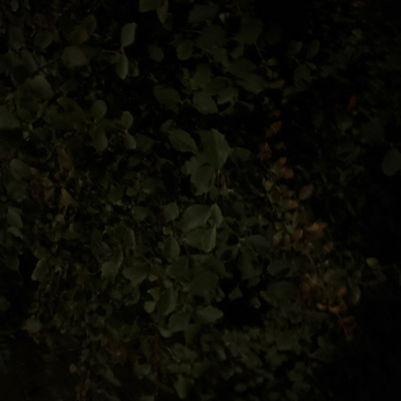 MoonWalker 🇲🇦🇨🇦 post 1