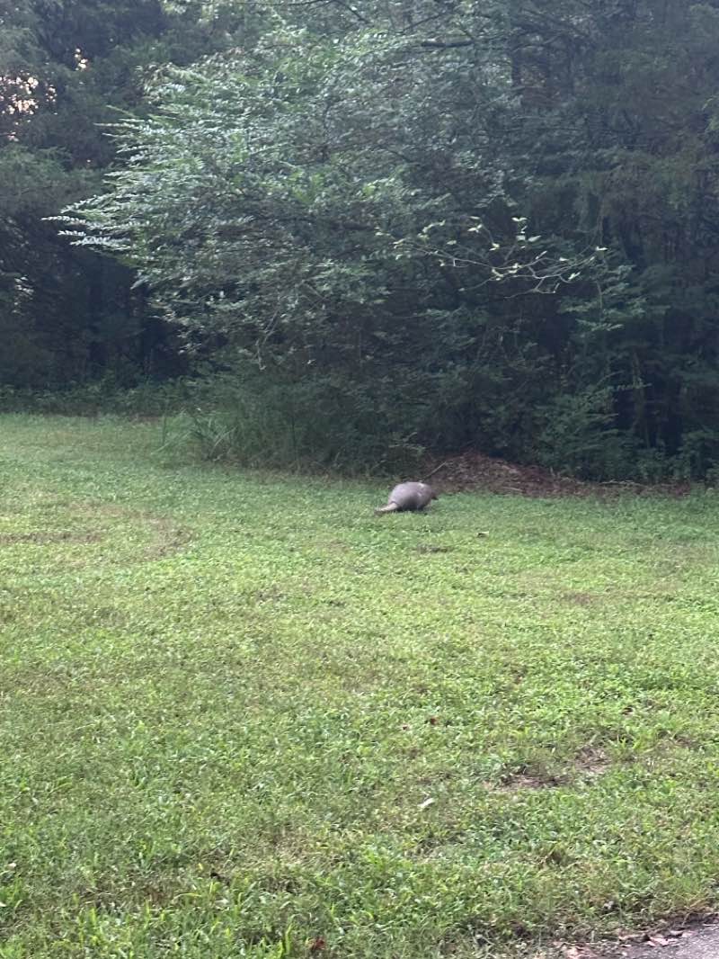 walking near me in North Shore at Lake Fayetteville in autumn