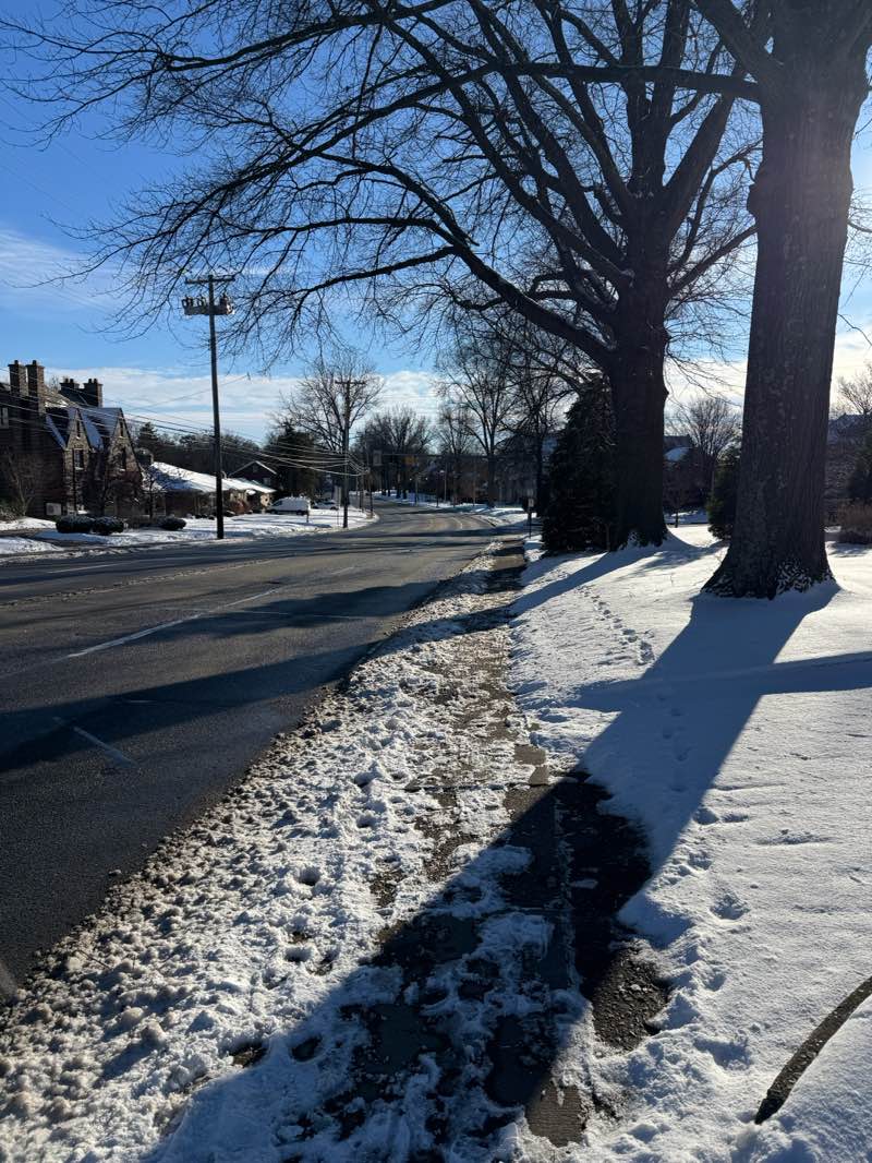 walking near me in Bird Park in winter