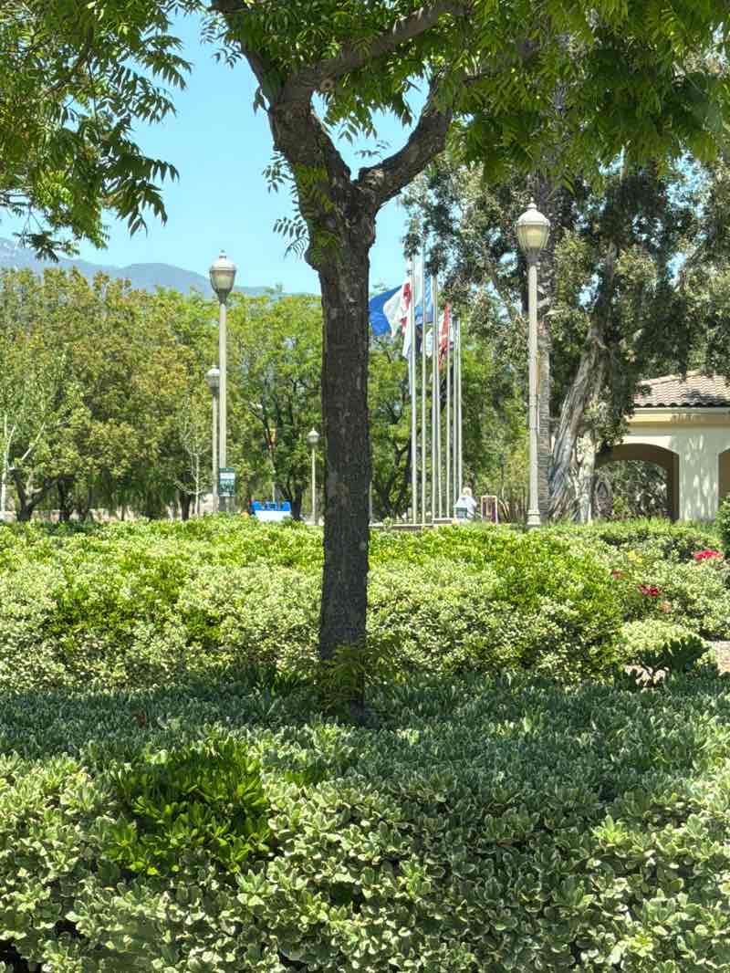 walking near me in Rancho Cucamonga Central Park in spring