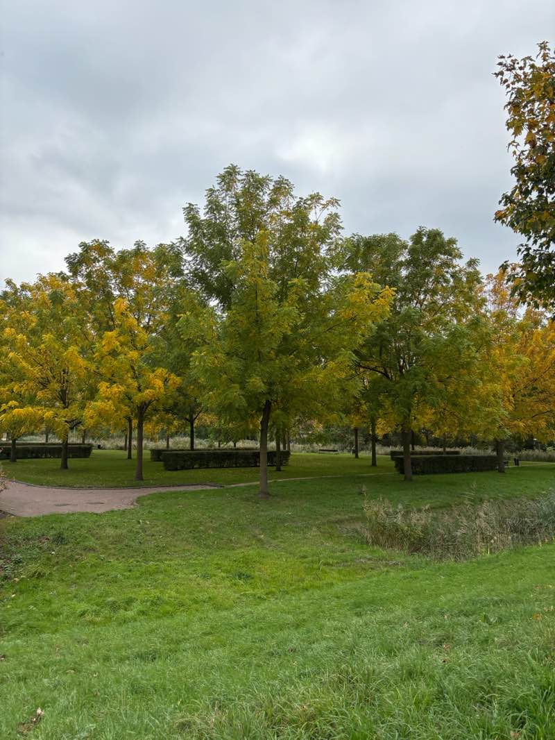 walking near me in Carnisserpark in autumn