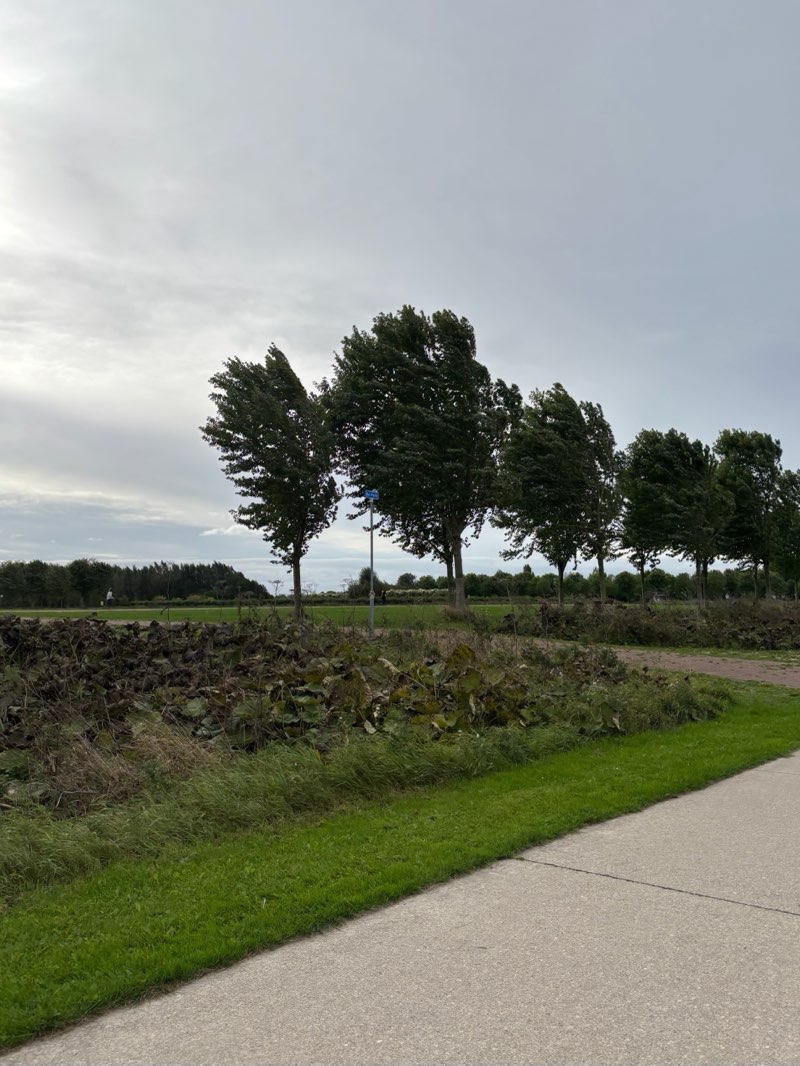 walking near me in Landerij de Park in autumn